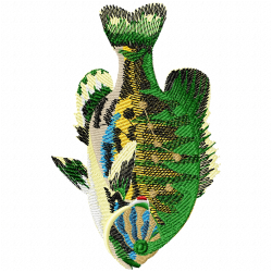 Fishes Embroidery Design 12 Fishes Embroidery Design 12